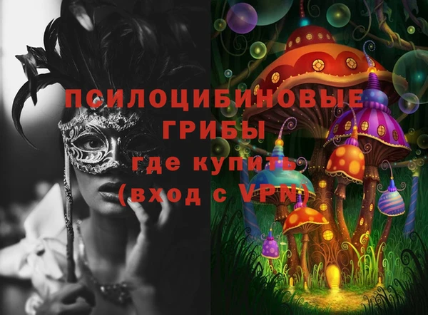 первитин Няндома