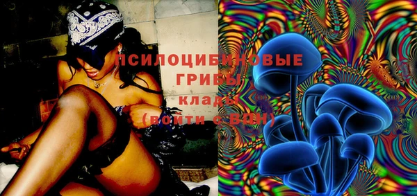 мяу мяу мука Алзамай