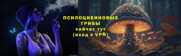тгк Абдулино