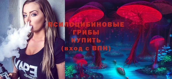 тгк Абинск
