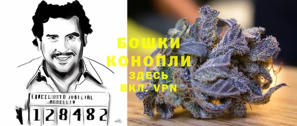 соль ск Абаза