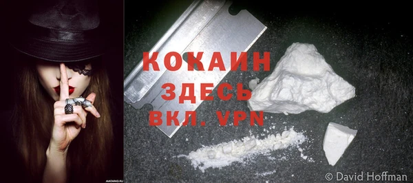 соль ск Абаза