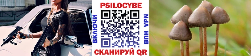 продажа наркотиков  Татарск  Псилоцибиновые грибы Psilocybe 